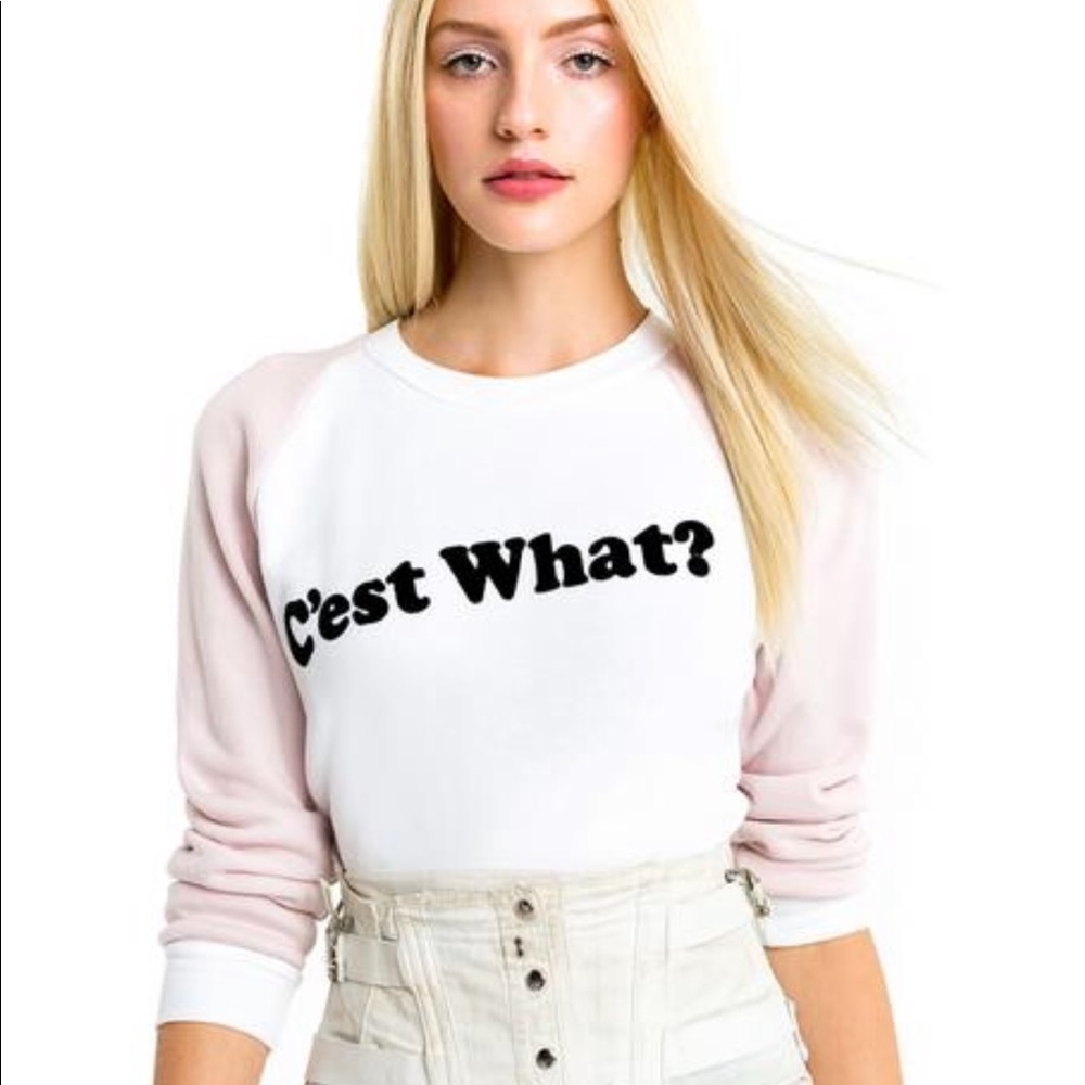 NEW • Wildfox • C’est What Junior Sweatshirt